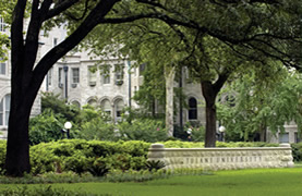 tulane tef